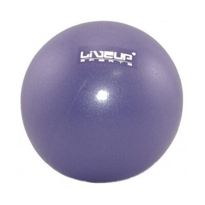 Фитбол (мяч для фитнеса, гимнастический) LiveUp MINI BALL LS3225-20p