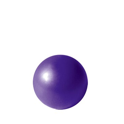 Фитбол (мяч для фитнеса, гимнастический) Rising Anti Burst Gym Ball 20 см