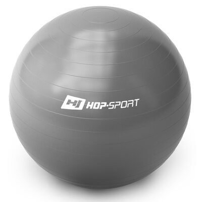 Фитбол (мяч для фитнеса, гимнастический) Hop-Sport 65cm silver + насос