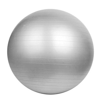 Фітбол (м'яч для фітнесу, гімнастичний) Rising Anti Burst Gym Ball 75 см GB2085-75
