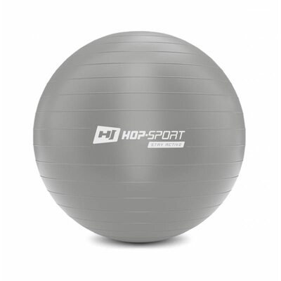 Фітбол (м&#39;яч для фітнесу) Hop-Sport 65cm сріблястий + насос 2020