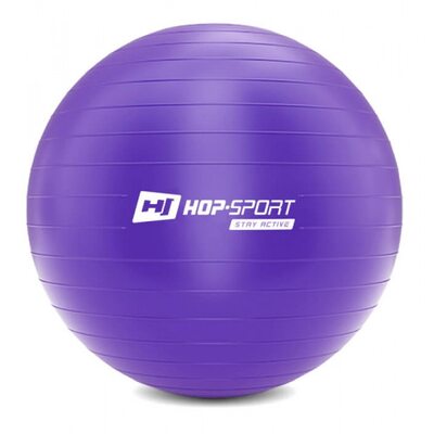 Фитбол (мяч для фитнеса) Hop-Sport 75 см фиолетовый + насос 2020