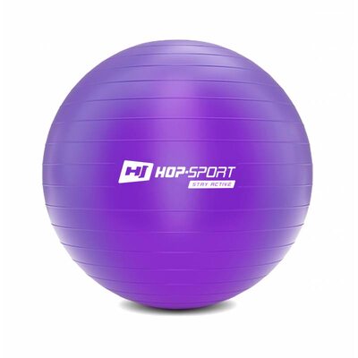 Фитбол (мяч для фитнеса) Hop-Sport 65cm фиолетовый + насос 2020