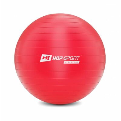 Фитбол (мяч для фитнеса) Hop-Sport 65cm красный + насос 2020